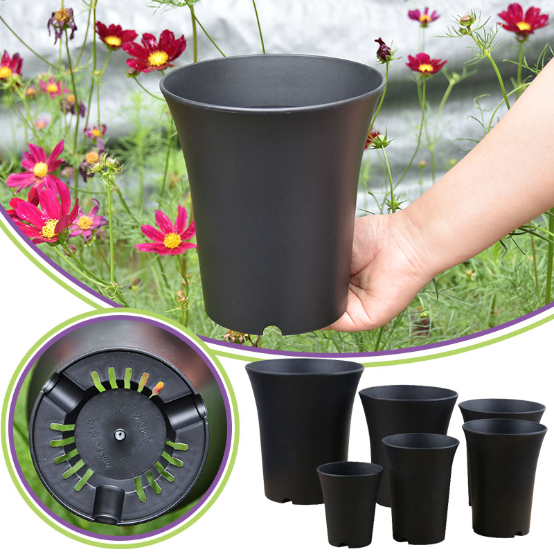 Echeveria Succulent - 10pcs Thickened Flowerpot High-Waisted Round ，Plant