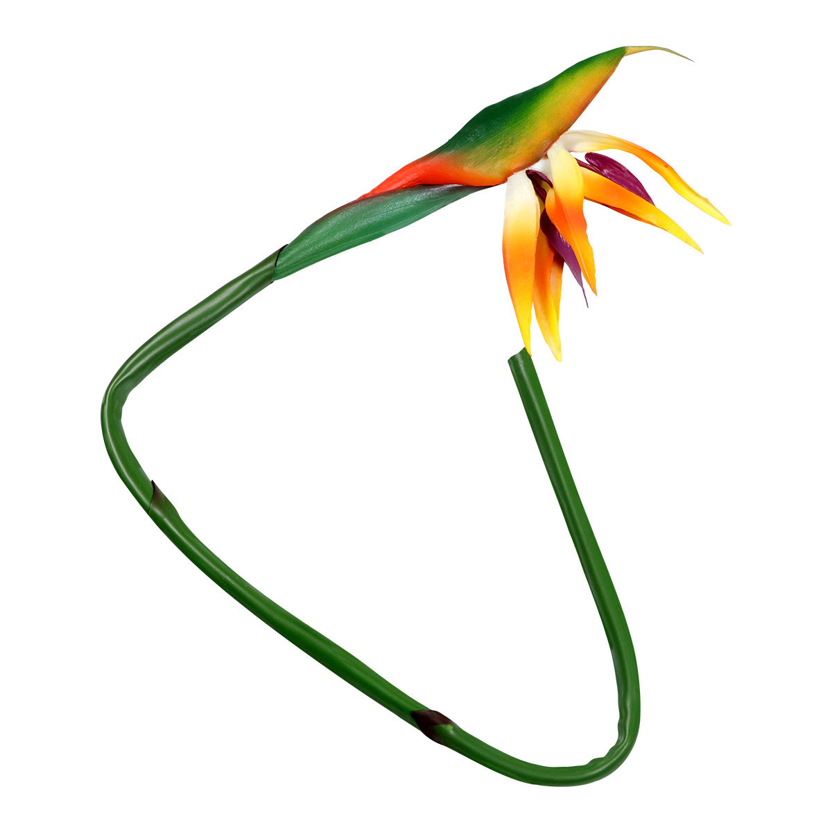 Bird Paradise Strelitzia - Artificial Strelitzia Bird of Paradise Real