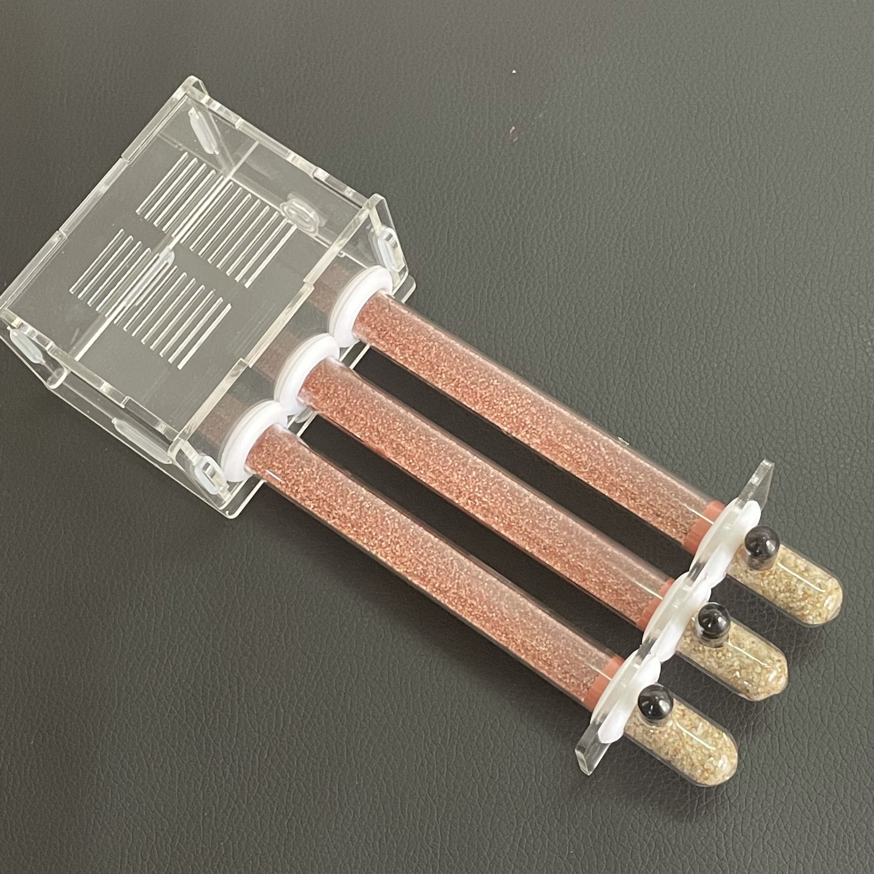 15-150mm Gypsum Test Tube Nest - đánh giá và giá Begonia Rex