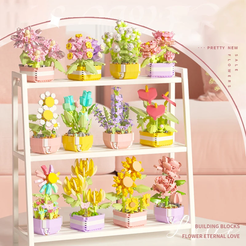 Flower Succulents Building Blo - đánh giá và giá Echeveria Succulent