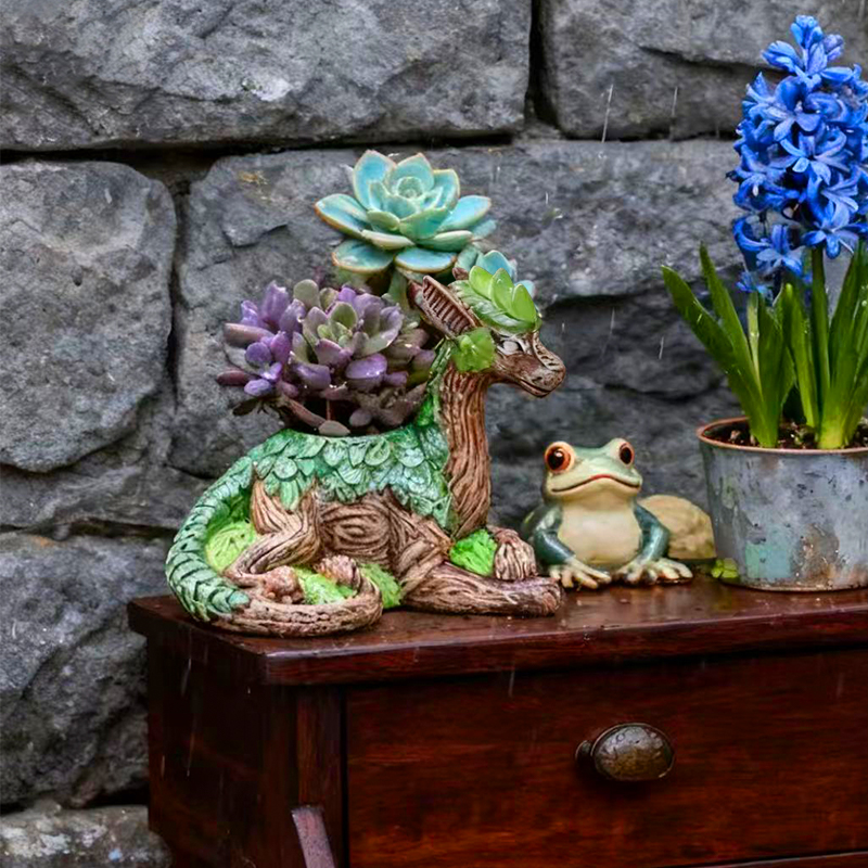 Creative Dragon Tree Flower Po - đánh giá và giá Echeveria Succulent