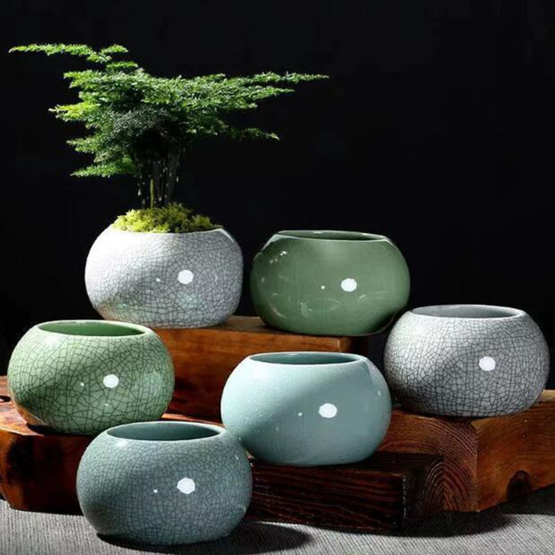 Creative Handmade Geyao Ice Cr - đánh giá và giá Echeveria Succulent