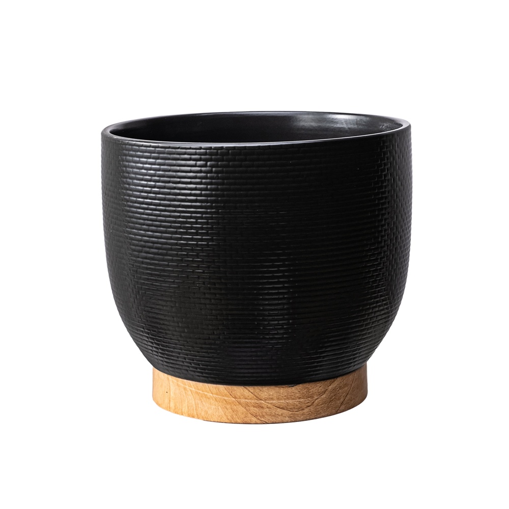 10 Inch Woven Black Ceramic Pl - đánh giá và giá Aloe Vera Pot