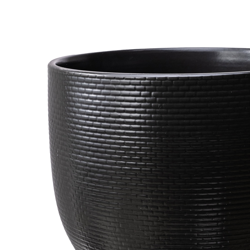 10 Inch Woven Black Ceramic Pl - đánh giá và giá Aloe Vera Pot