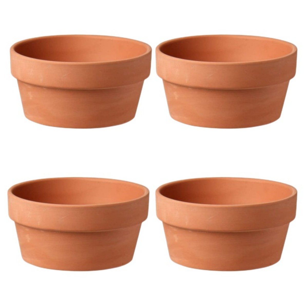 6 PCS Terracotta Buld Pots 3.5 - đánh giá và giá Echeveria Succulent
