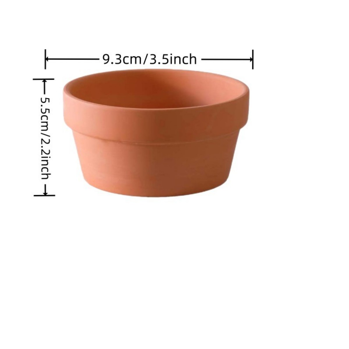 6 PCS Terracotta Buld Pots 3.5 - đánh giá và giá Echeveria Succulent