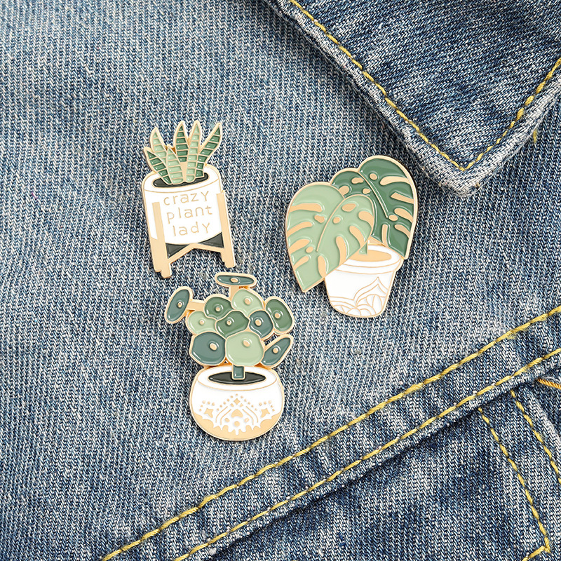 Potted Plant Brooch Monstera A - đánh giá và giá Aloe Vera Pot