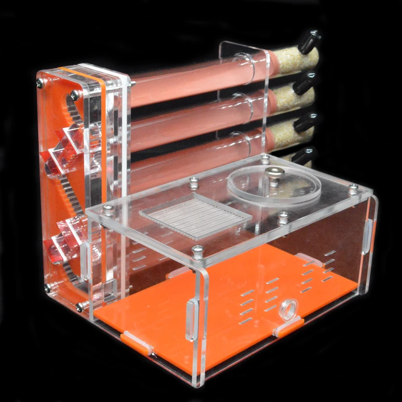DIY Acrylic Ant Farm 5 pcs 18- - đánh giá và giá Begonia Rex