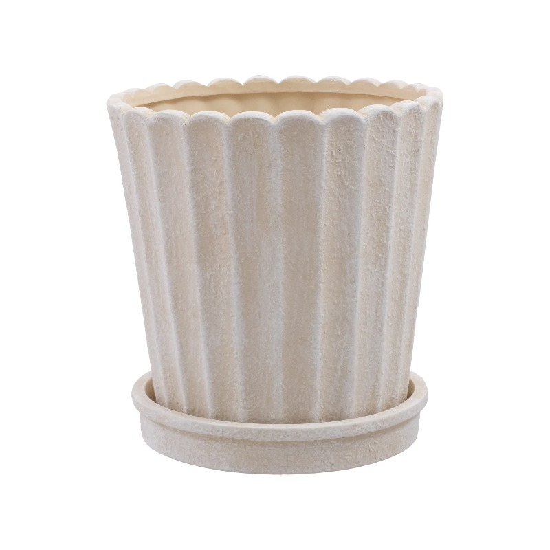 8 Inch Shell Planter Cream Cer - đánh giá và giá Aloe Vera Pot