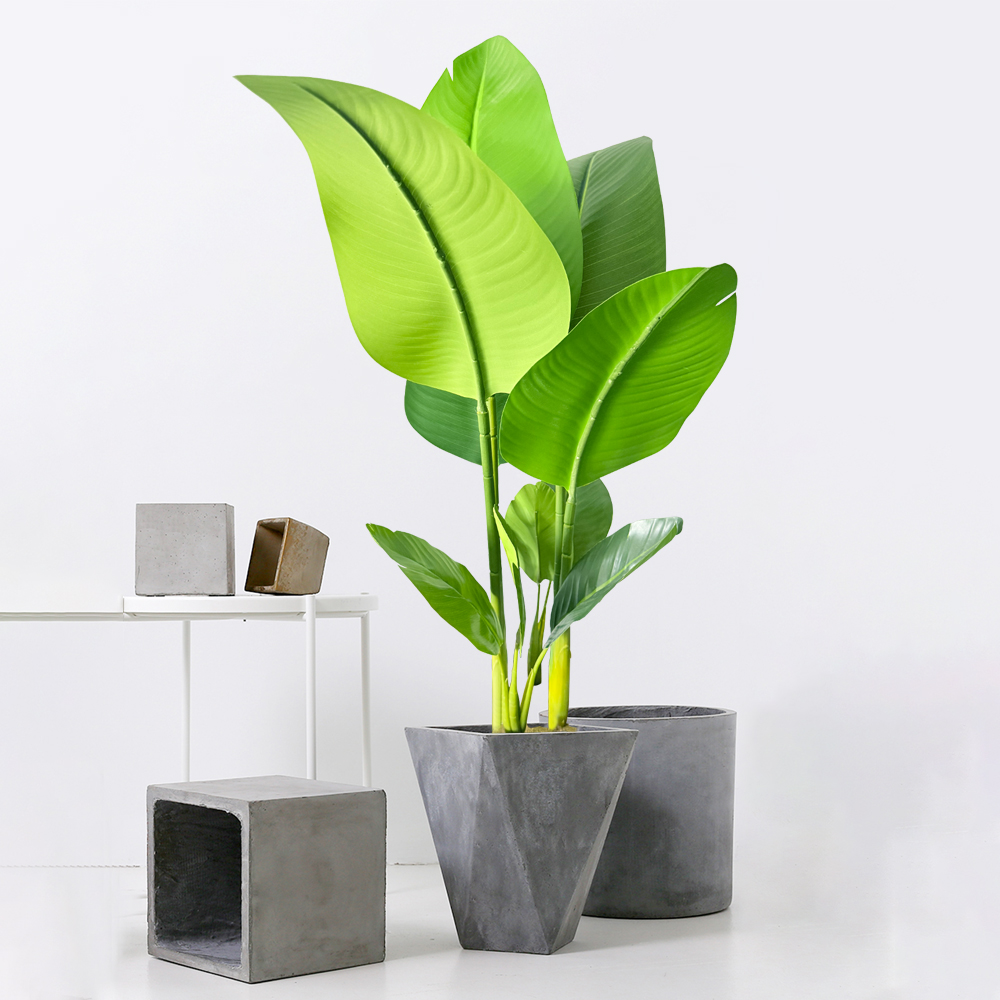 37-77cm Artificial Banana Tree - đánh giá và giá Dracaena Marginata