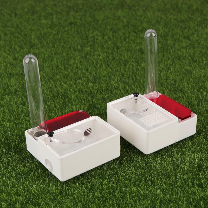 【Peace】3D Printed Ant Farm Que - đánh giá và giá Begonia Rex
