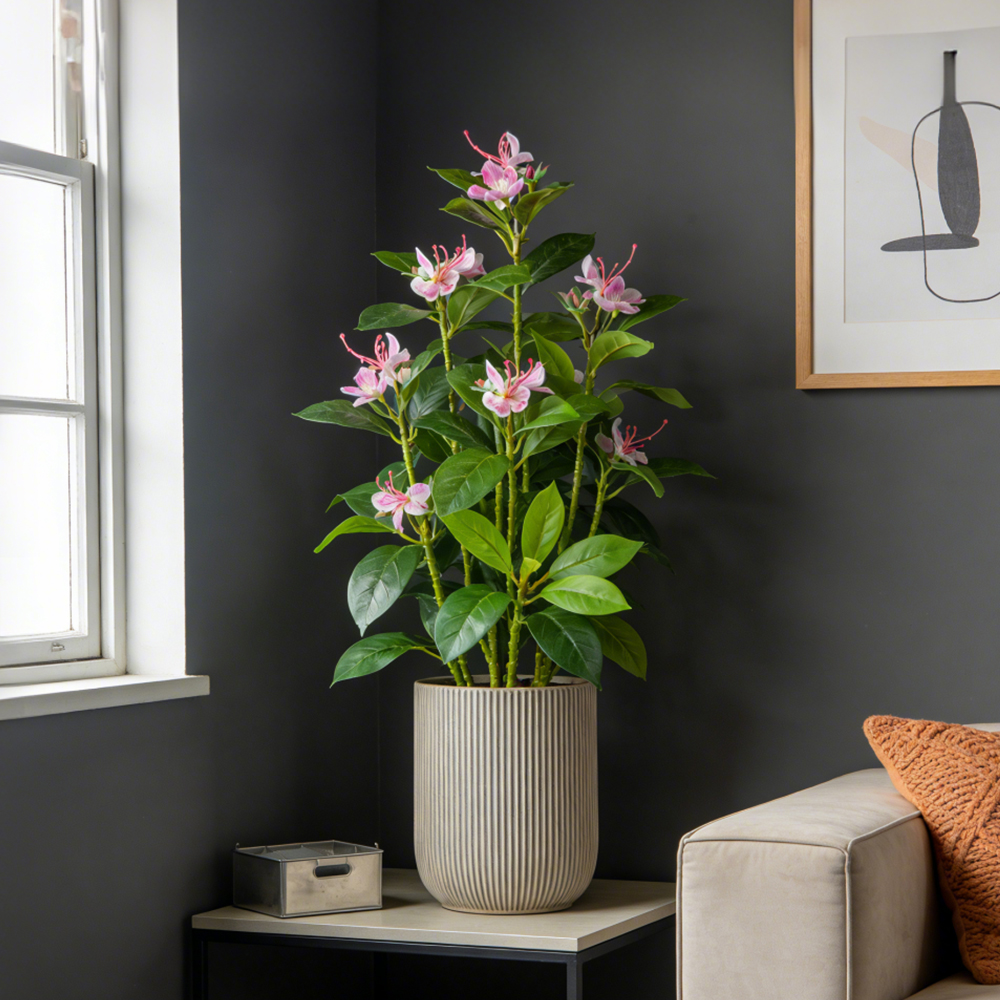 21-40cm Artificial Azalea Flow - đánh giá và giá Ficus Lyrata Tree