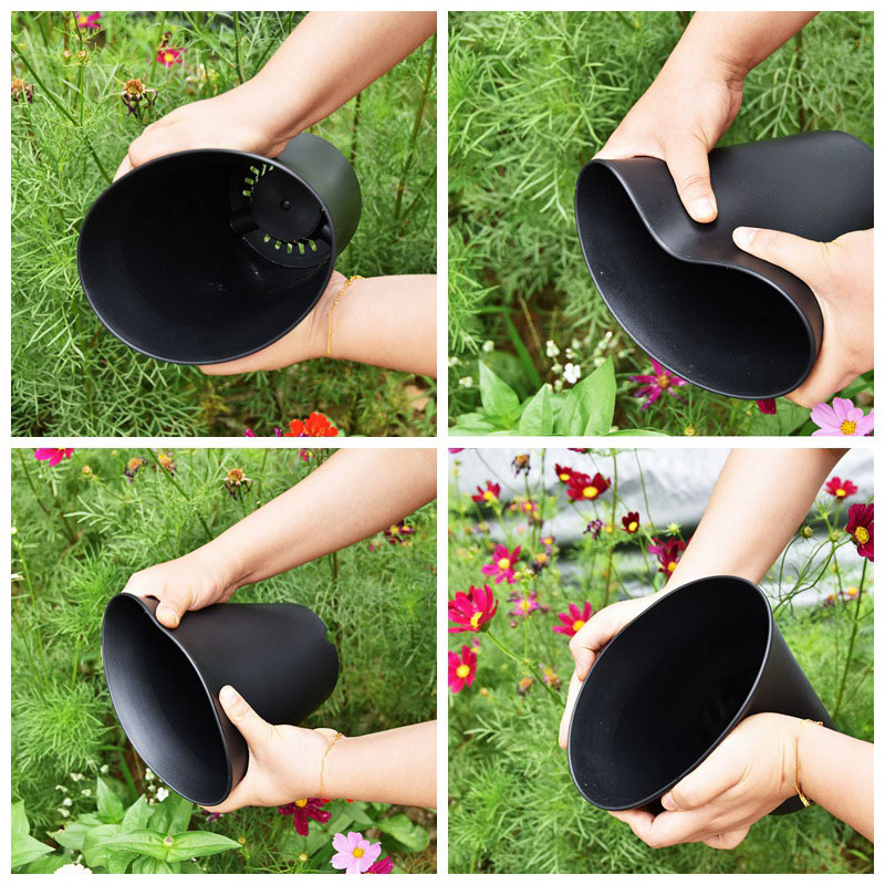 10pcs Thickened Flowerpot High - đánh giá và giá Echeveria Succulent