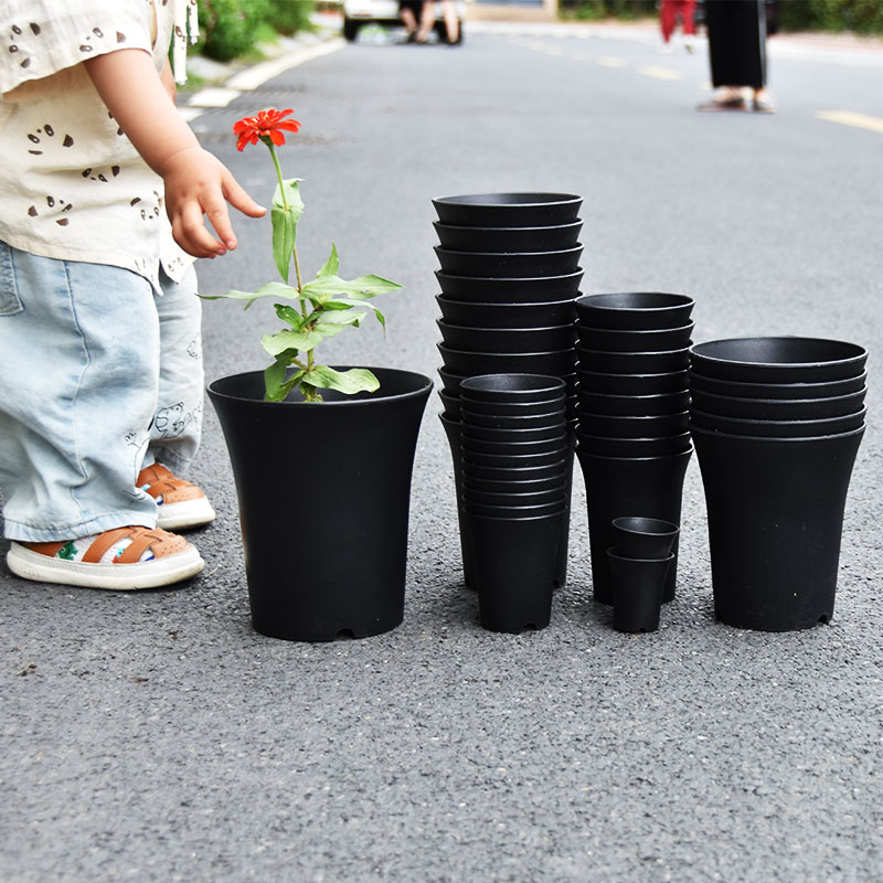 10pcs Thickened Flowerpot High - đánh giá và giá Echeveria Succulent