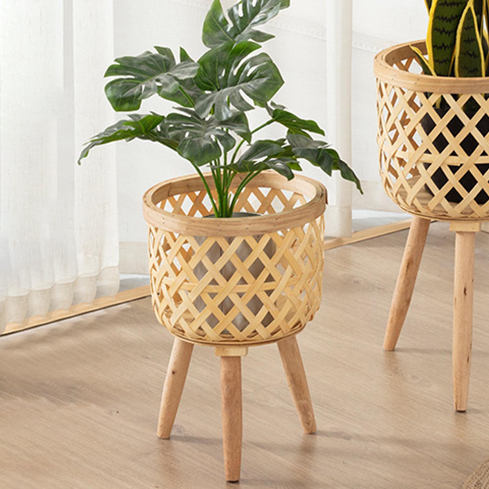 Hand Woven Flower Pot Tripod S - đánh giá và giá Aloe Vera Pot