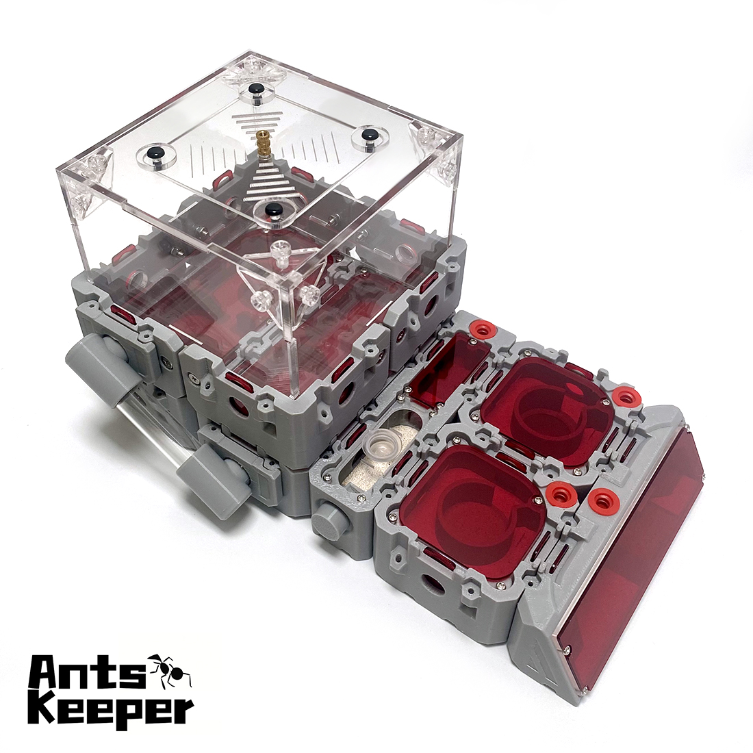 【Lego】Expandable Modular Formi - đánh giá và giá Begonia Rex