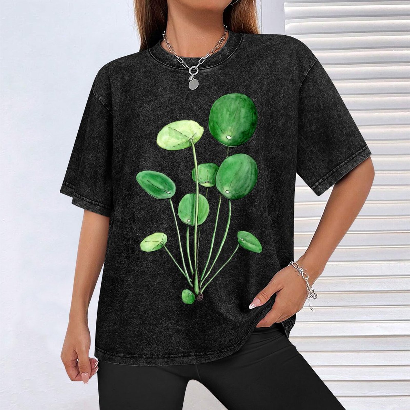 Pilea Peperomioides - Watercol - đánh giá và giá Pilea Peperomioides