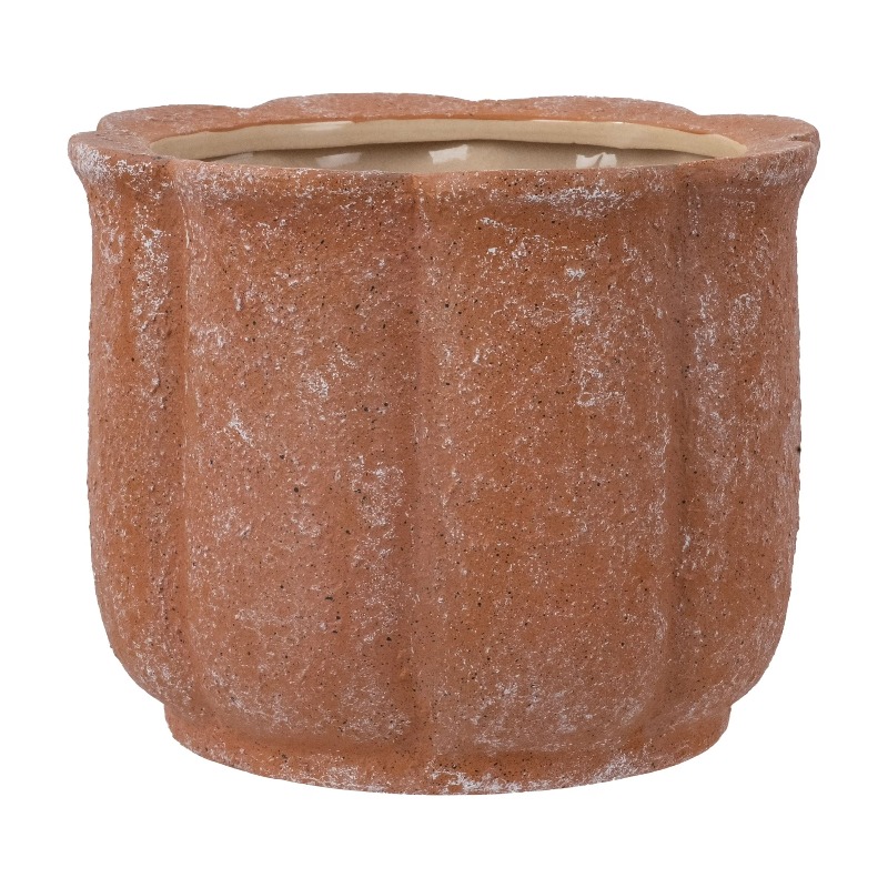 8in Terracotta Flower Planter  - đánh giá và giá Aloe Vera Pot