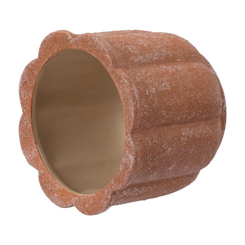 8in Terracotta Flower Planter  - đánh giá và giá Aloe Vera Pot