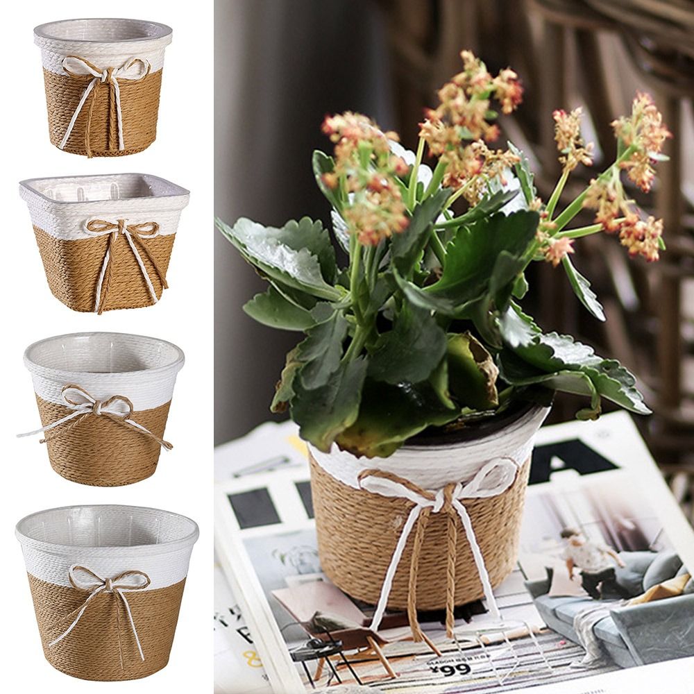 Paper Rope Braided Braided Flo - đánh giá và giá Aloe Vera Pot