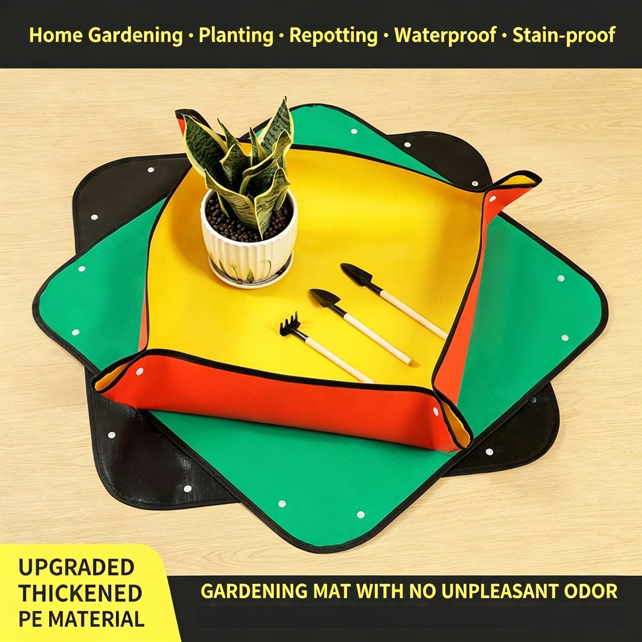 Plant Repotting Mat, Waterproo - đánh giá và giá Echeveria Succulent