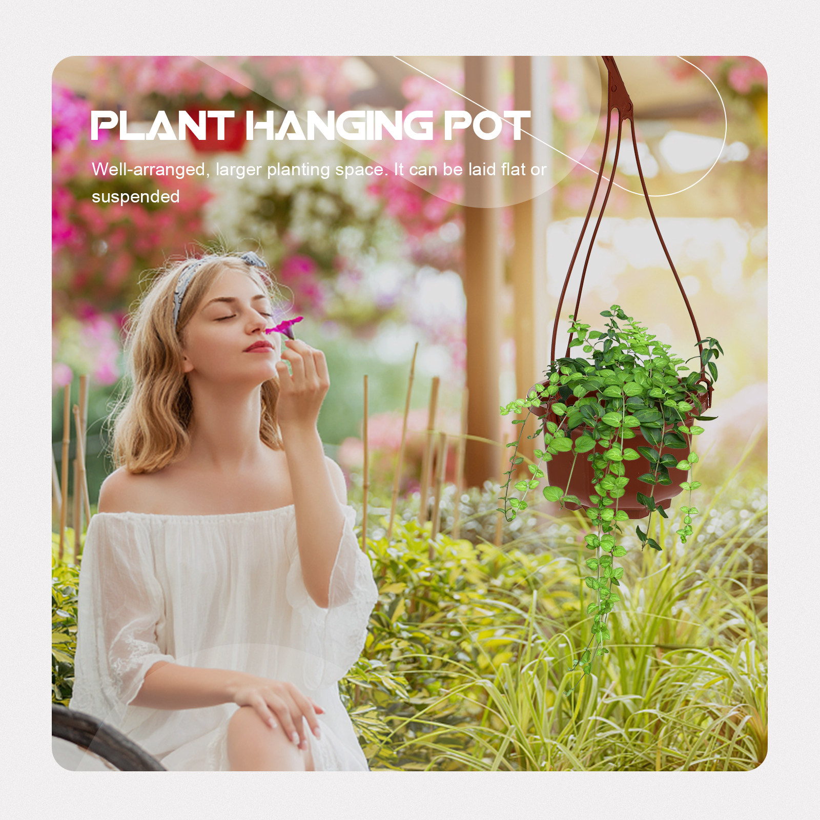 6Sets Hanging Flowerpot Creati - đánh giá và giá Spider Plant Hanging