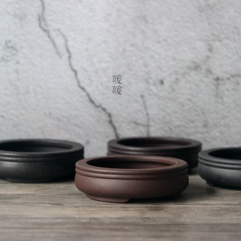 Ceramic Circle Bonsai Pot,Plat - đánh giá và giá Pilea Peperomioides