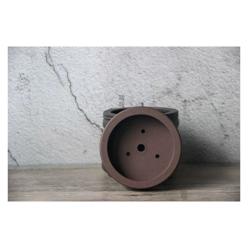 Ceramic Circle Bonsai Pot,Plat - đánh giá và giá Pilea Peperomioides