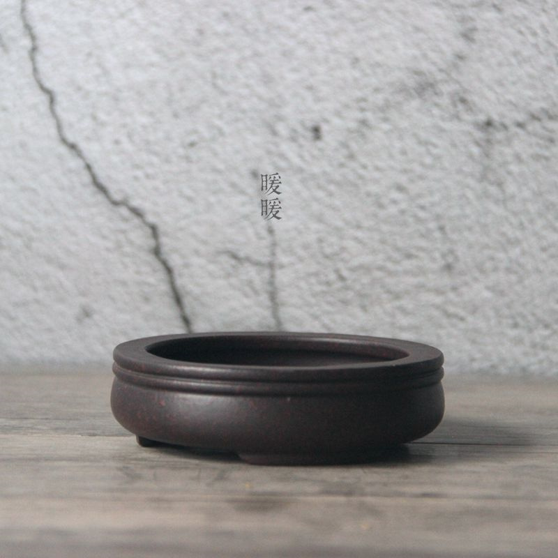 Ceramic Circle Bonsai Pot,Plat - đánh giá và giá Pilea Peperomioides