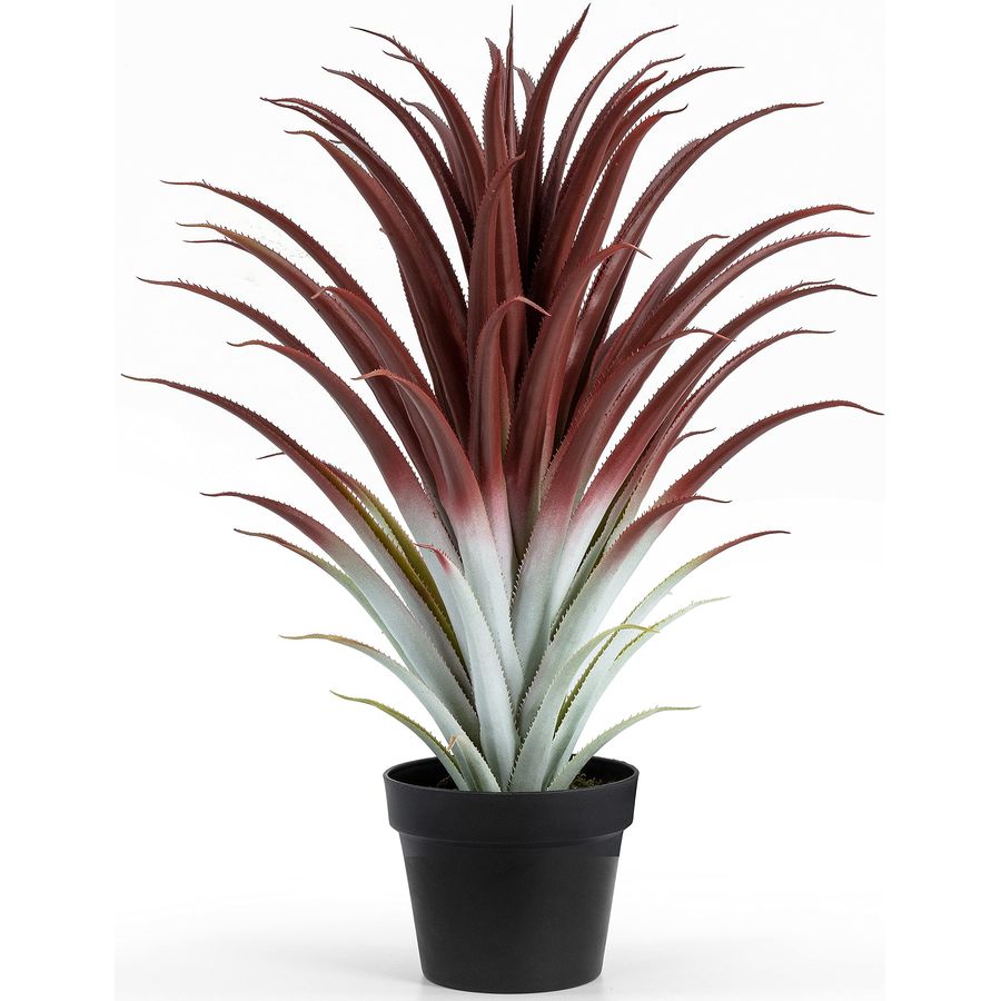 Hyper Realistic Big Red Artifi - đánh giá và giá Aloe Vera Pot