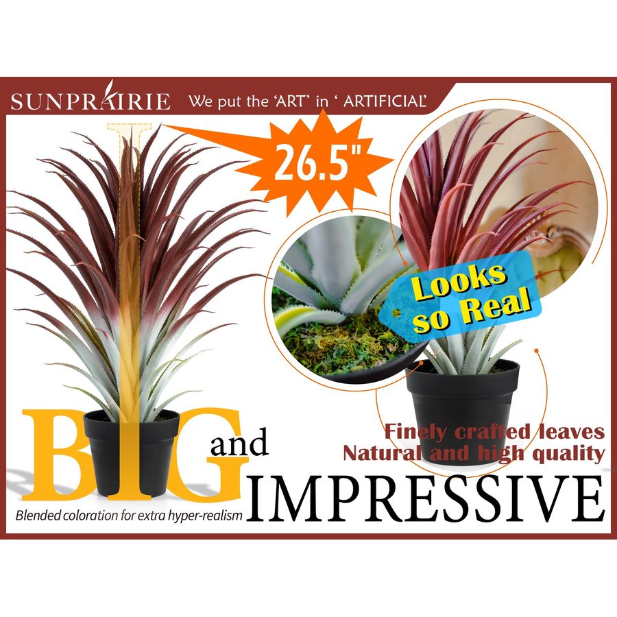 Hyper Realistic Big Red Artifi - đánh giá và giá Aloe Vera Pot
