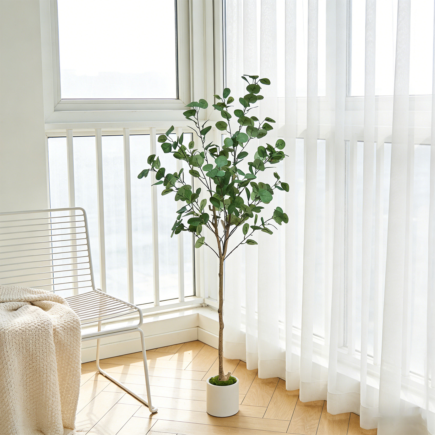 120-155Cm/5.1Ft Artificial Euc - đánh giá và giá Dracaena Marginata