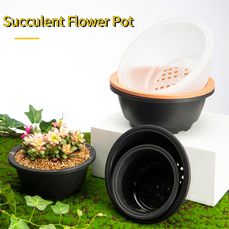 Plastic Round Succulent Flower - đánh giá và giá Echeveria Succulent