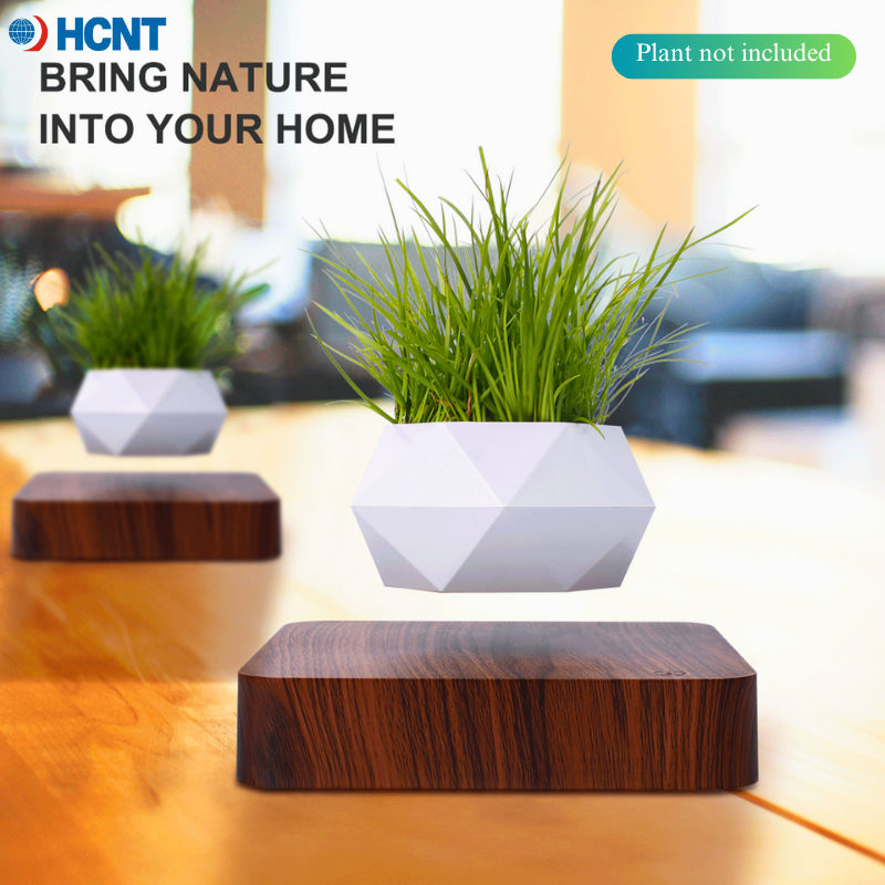 Floating Plant Pot Magnetic Le - đánh giá và giá Echeveria Succulent