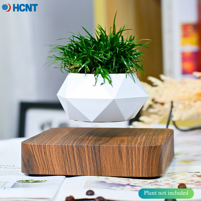 Floating Plant Pot Magnetic Le - đánh giá và giá Echeveria Succulent