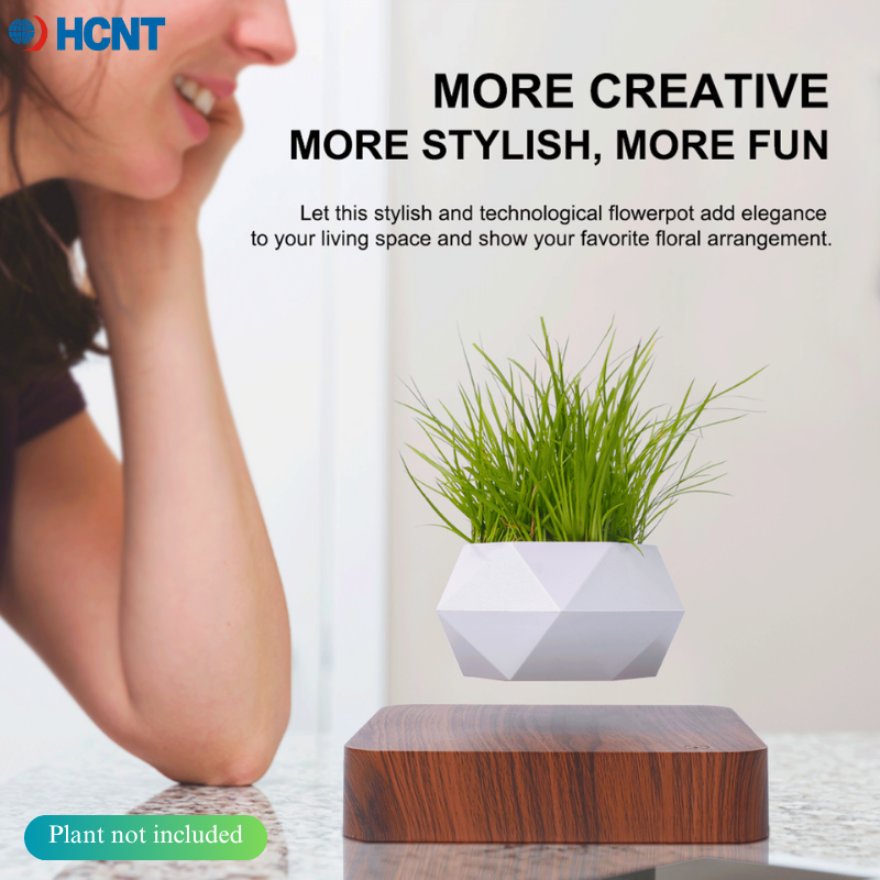 Floating Plant Pot Magnetic Le - đánh giá và giá Echeveria Succulent