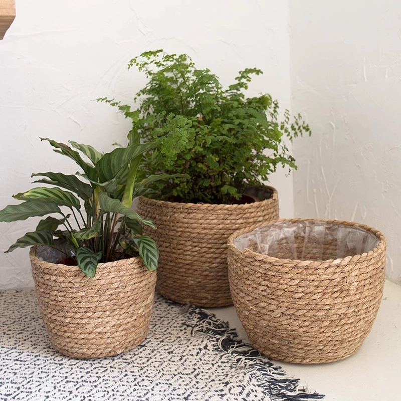 Straw Weaving Flower Plant Pot - đánh giá và giá Aloe Vera Pot