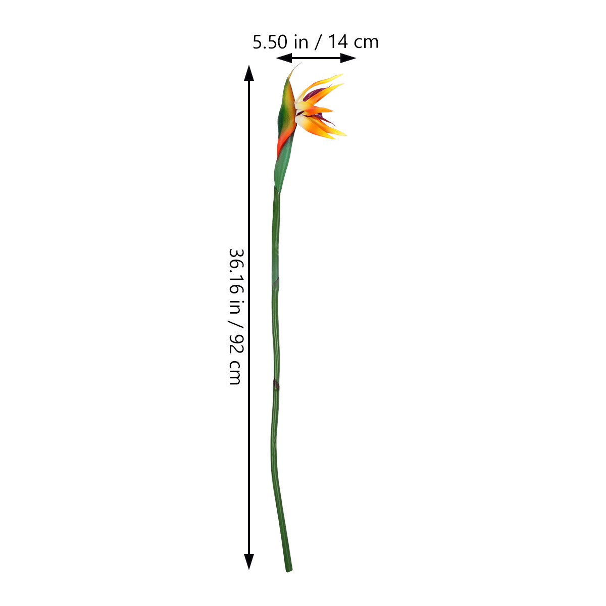 Artificial Strelitzia Bird of  - đánh giá và giá Bird Paradise Strelitzia