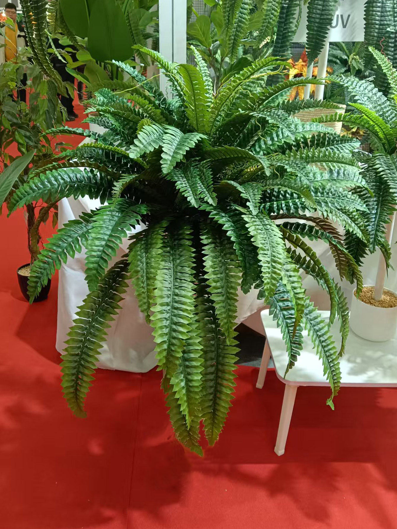 28/58/88 Leaves Artificial Bos - đánh giá và giá Dracaena Marginata