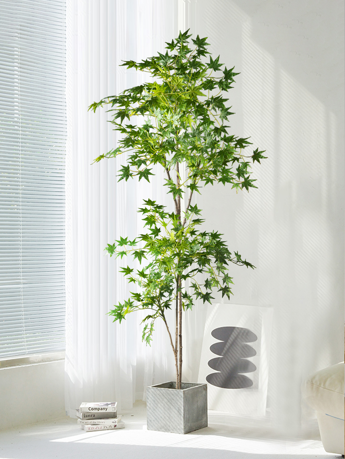 70-140cm Artificial Maple Tree - đánh giá và giá Dracaena Marginata