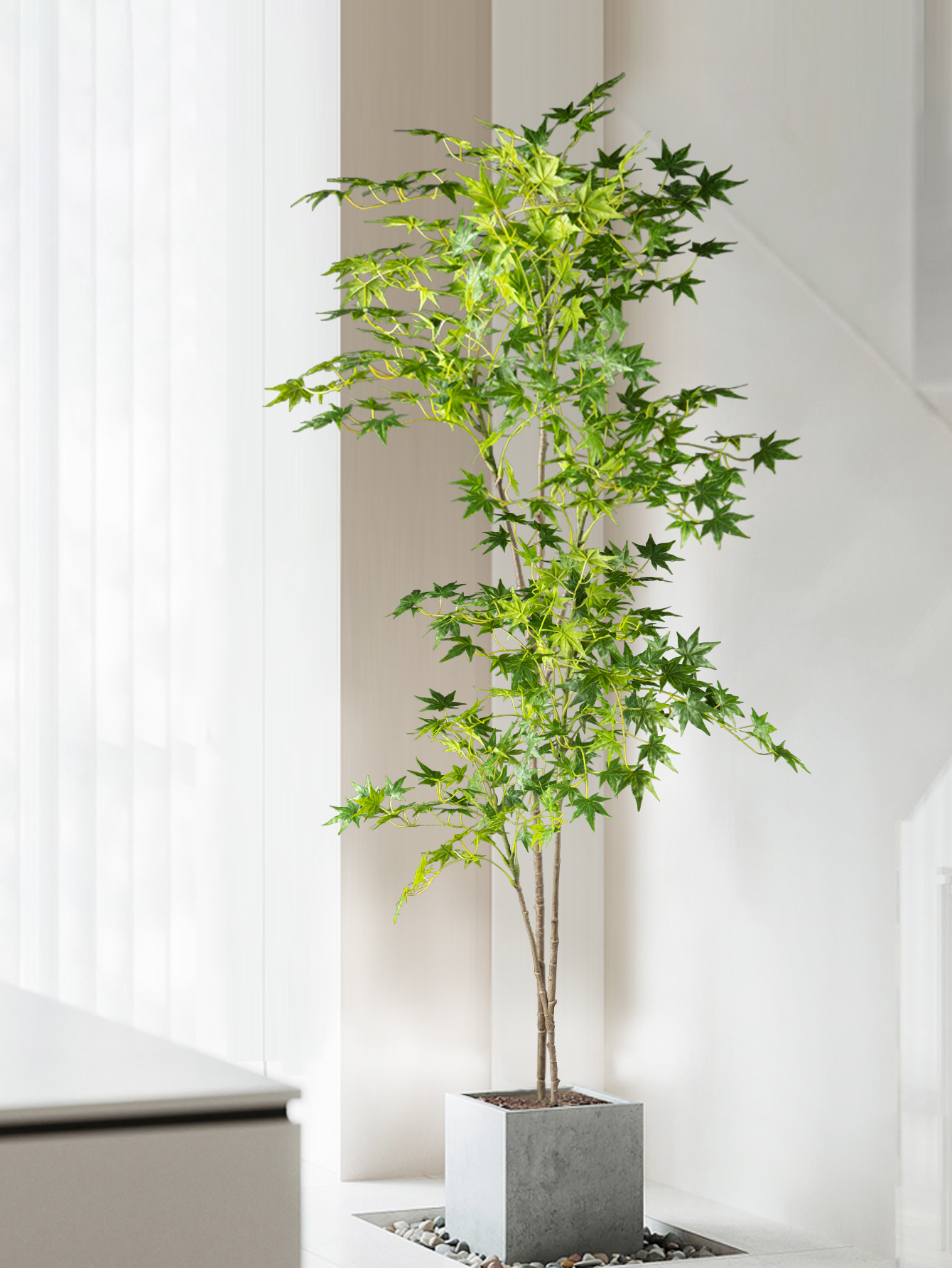 70-140cm Artificial Maple Tree - đánh giá và giá Dracaena Marginata