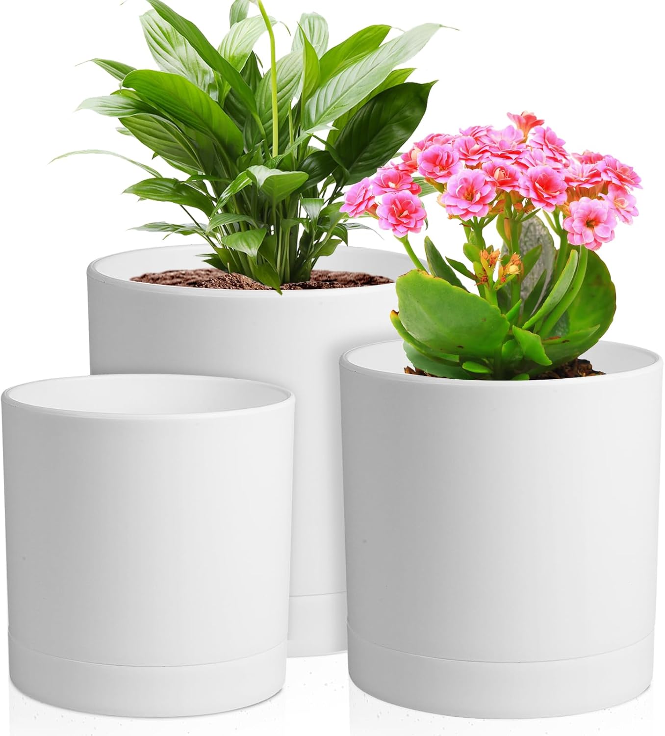 3-Pack Cylinder Flower Pots wi - đánh giá và giá Aloe Vera Pot