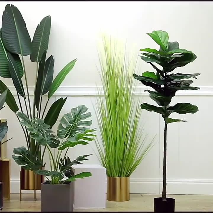 Simulation Palm Tree Artificia - đánh giá và giá Ficus Lyrata Tree