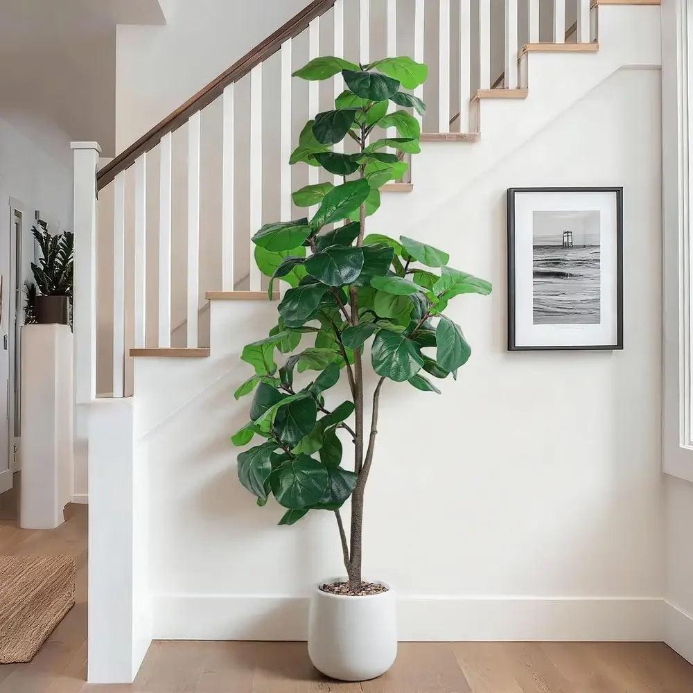 Artificial Large Ficus Lyrata  - đánh giá và giá Ficus Lyrata Tree