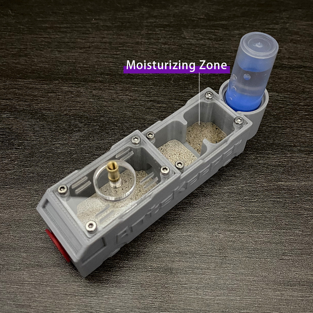 【Truck】Ant Farm for Ants keepe - đánh giá và giá Begonia Rex