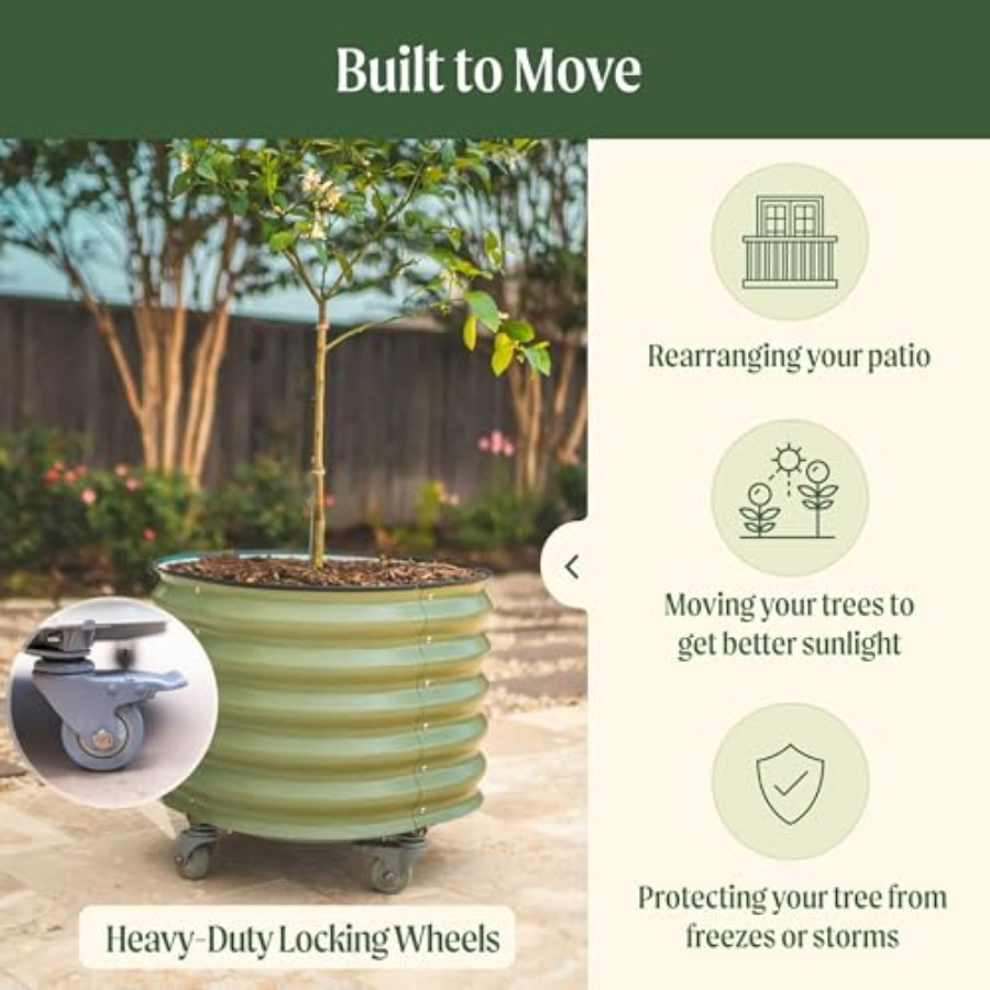 Self-Watering Rolling Metal Ci - đánh giá và giá Aloe Vera Pot