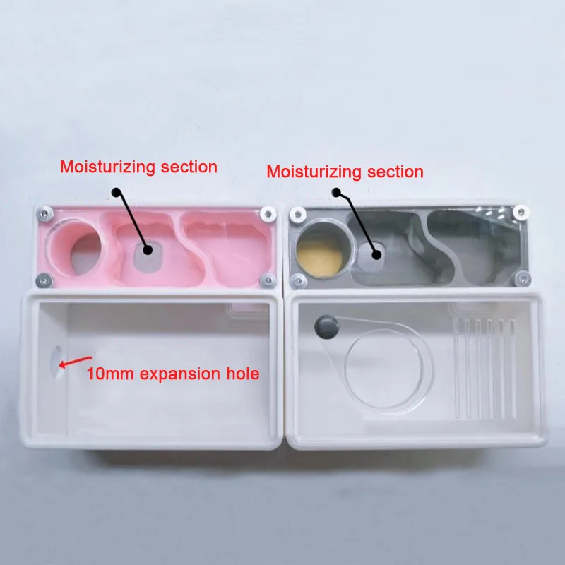 3D Printed Ant Farm queen ant' - đánh giá và giá Begonia Rex