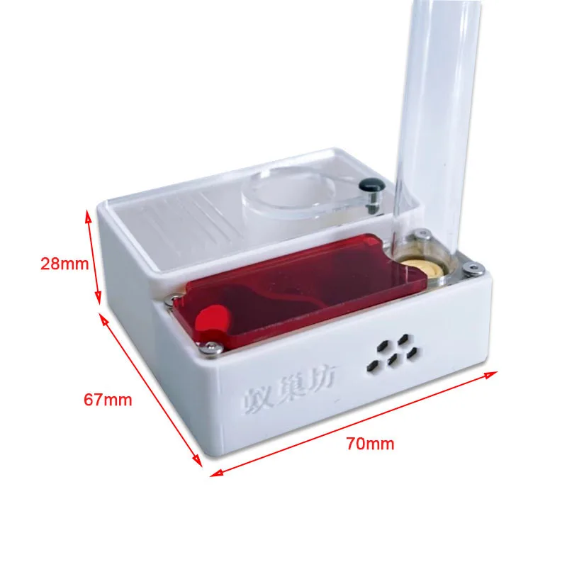 3D Printed Ant Farm queen ant' - đánh giá và giá Begonia Rex